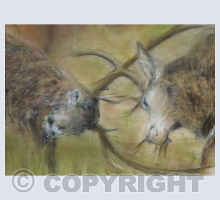 Locking Horns
