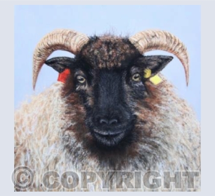 The King of the Farm