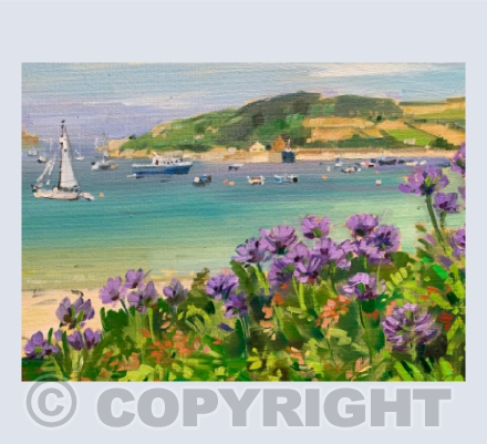 Agapanthus on Tresco