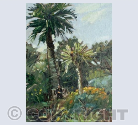 Tresco Gardens I