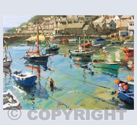 Swimming in the Harbour