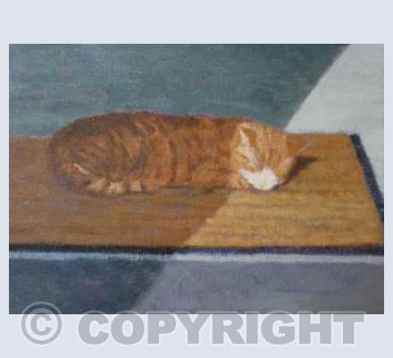 Sleeping Tom