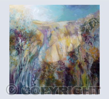 Coastal Field Margins