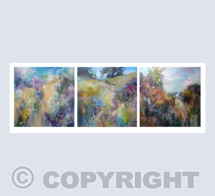 Cornish Hedgerows Series 2