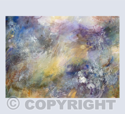 Meadow and Hedge