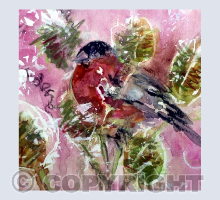 Bullfinch, Seed Heads and Snowflakes