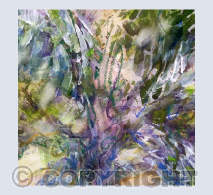 Olive Tree