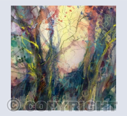 Sunset Trees