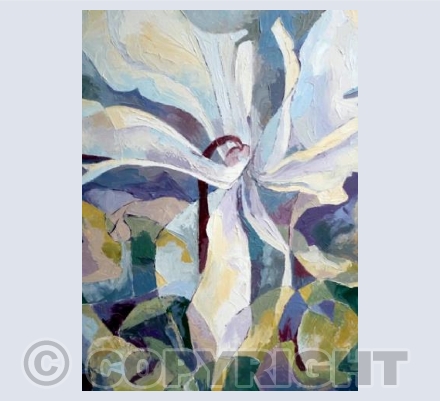 White Cyclamen