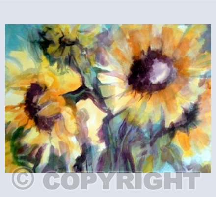 Sunburst