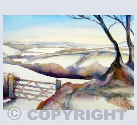 Tamar Valley Snow