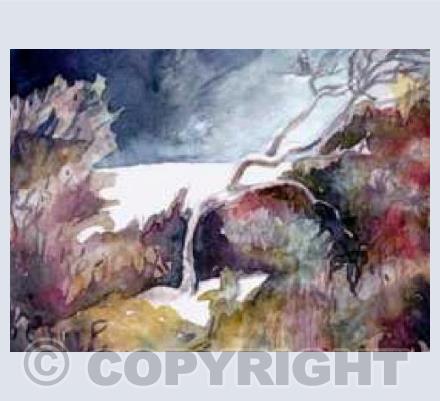 Winter Hedgerow