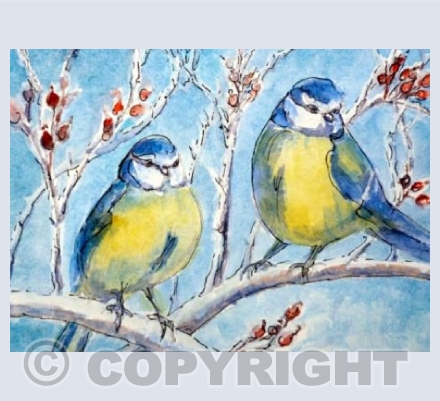 Bluetits and Rose Hips