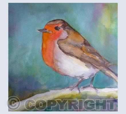 Robin in the Blue