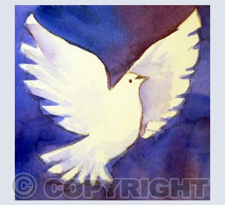 Christmas Dove