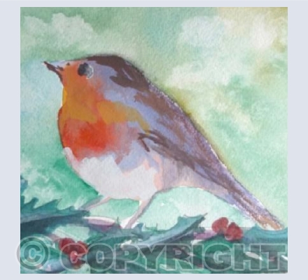 Robin in a Holly Bush 2