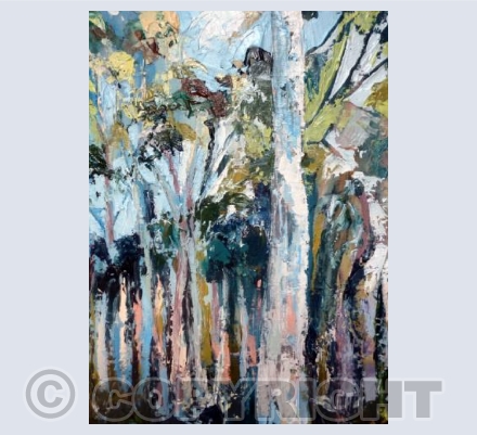 Eucalyptus Grove