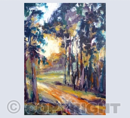 Eucalyptus Sunset
