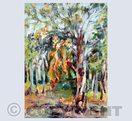 Eucalyptus Study