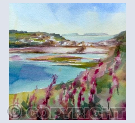 Foxgloves, Porthcressa, Scilly