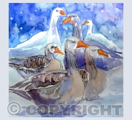 Six Geese A-Laying