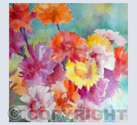 Gerbera
