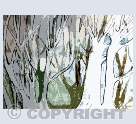 Snowy Trees