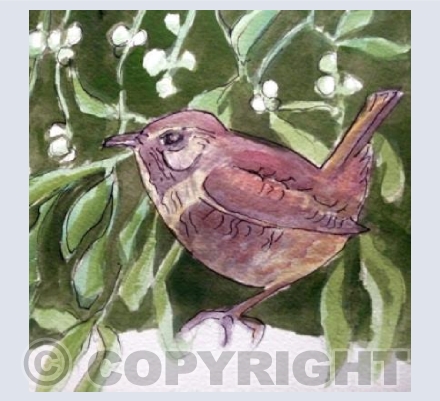 Wren and Mistletoe square