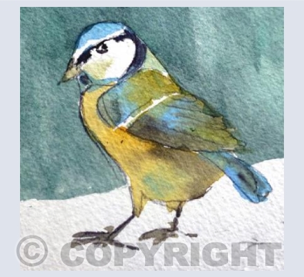 Bluetit in the Snow