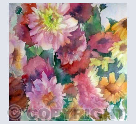 Dahlias