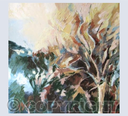 Silver Birch