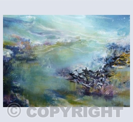 Rock Pools