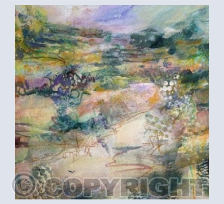 Summer Fields