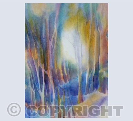 Bluebell Wood