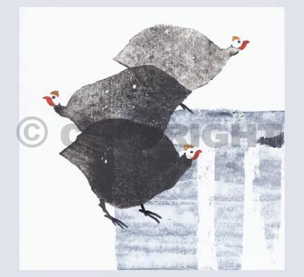 Guinea Fowl