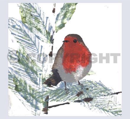 2011 Robin