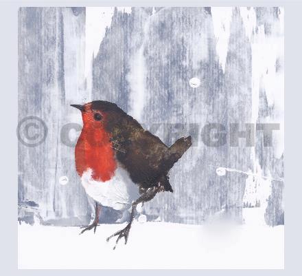 2012 Robin