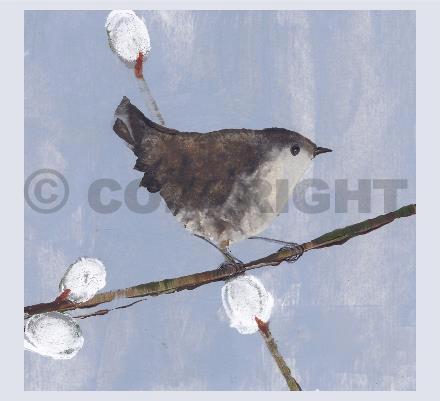 Seasonal Wren