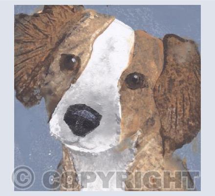 Dog - Biggles
