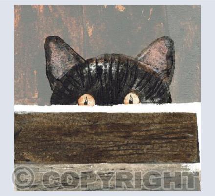Cat - Peep