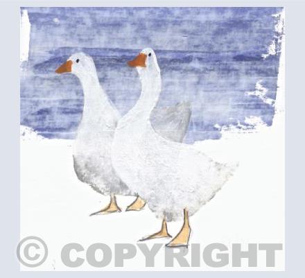 Geese