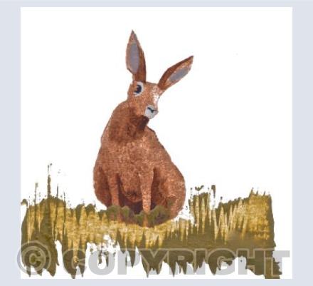 Hare