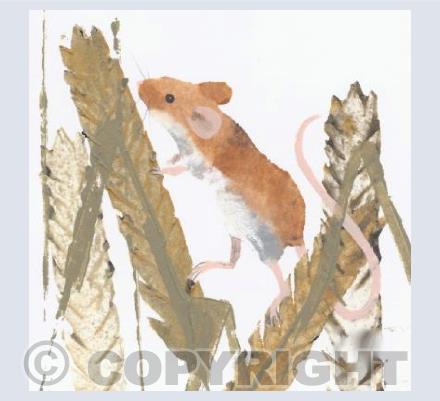 Harvest Mouse