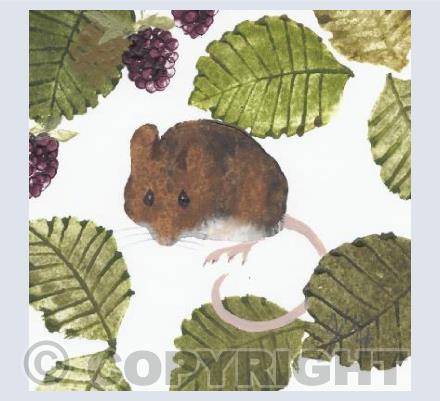 Wood Mouse
