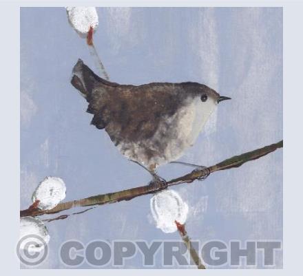 Wren