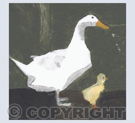 Duck & duckling