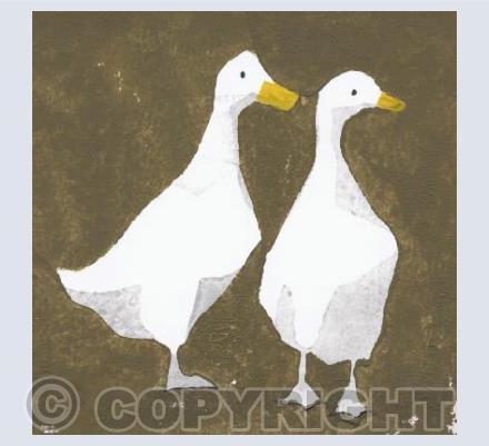 Ducks