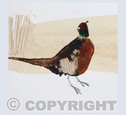 One Pheasant