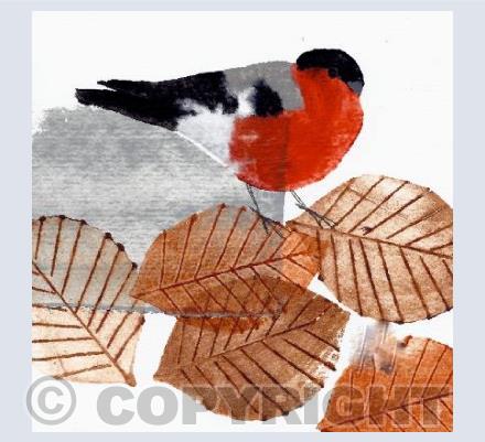 Bullfinch
