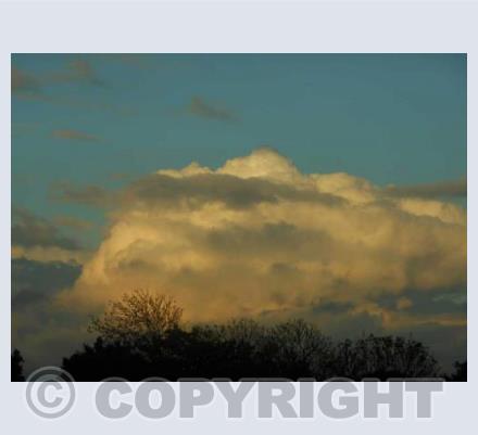 Skies